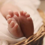 Burgaz’dan Hamburgere