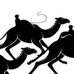 Büyük Millet Meclisi Üzerine