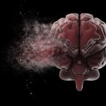 Taklitçiler öykündükleri Batılı saf akılcılara hayrandırlar.