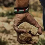 Modern Müslümanlığın Dini Devlet mi? (3)