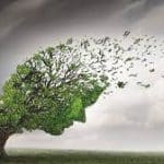 Takvanın Cinsiyeti Yok