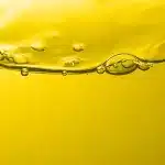 Şüpheli Bir İttifak: Netanyahu’nun İsrail’i ve Avrupa’nın Aşırı Sağı