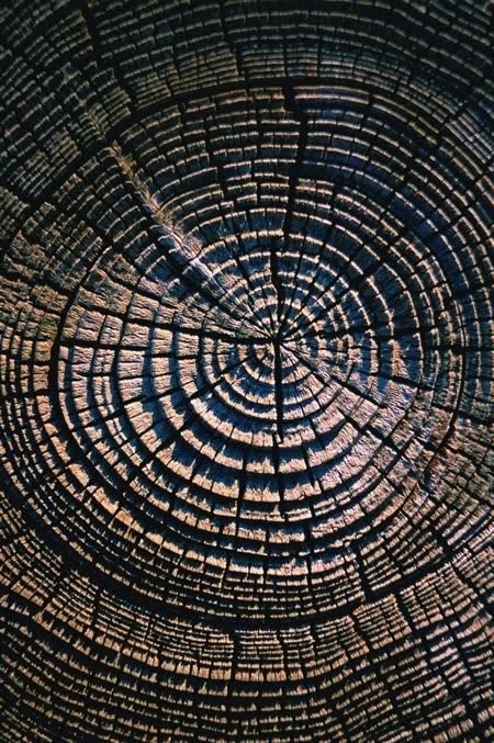 Hilafetin sorgulanması