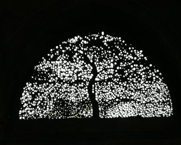 Farkı Fark etmek: İslâm’ın Önündeki Tuzaklar