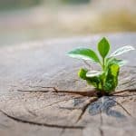 Profesyonel Dava Adamlığı Zamanı