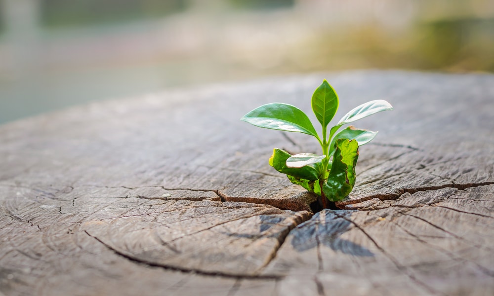 İslam Hukuku Zamana ve Mekâna Göre Değişir mi?