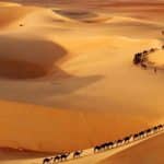 İktisadi Gerçeklik ve İslamcılık Siyaseti