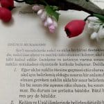 Ahmet Cevdet Paşa’nın Kur’an Tercümesi: 2- Bakara Suresi (1-103. ayetler)