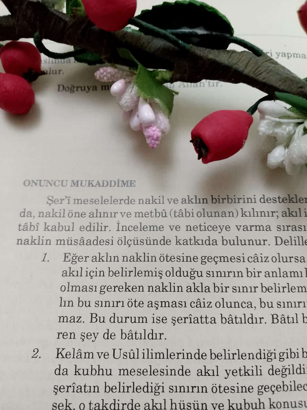 Muvâfakât Okumalarından Notlar: 10. Mukaddime (Öncül)