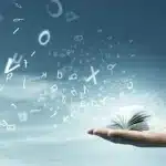 “Medine sözleşmesi”: “3. – 20. Maddeler.