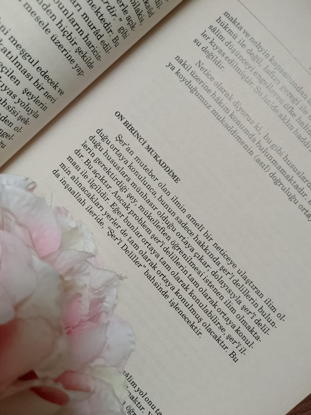 Muvâfakât Okumalarından Notlar: 11. Mukaddime (Öncül)