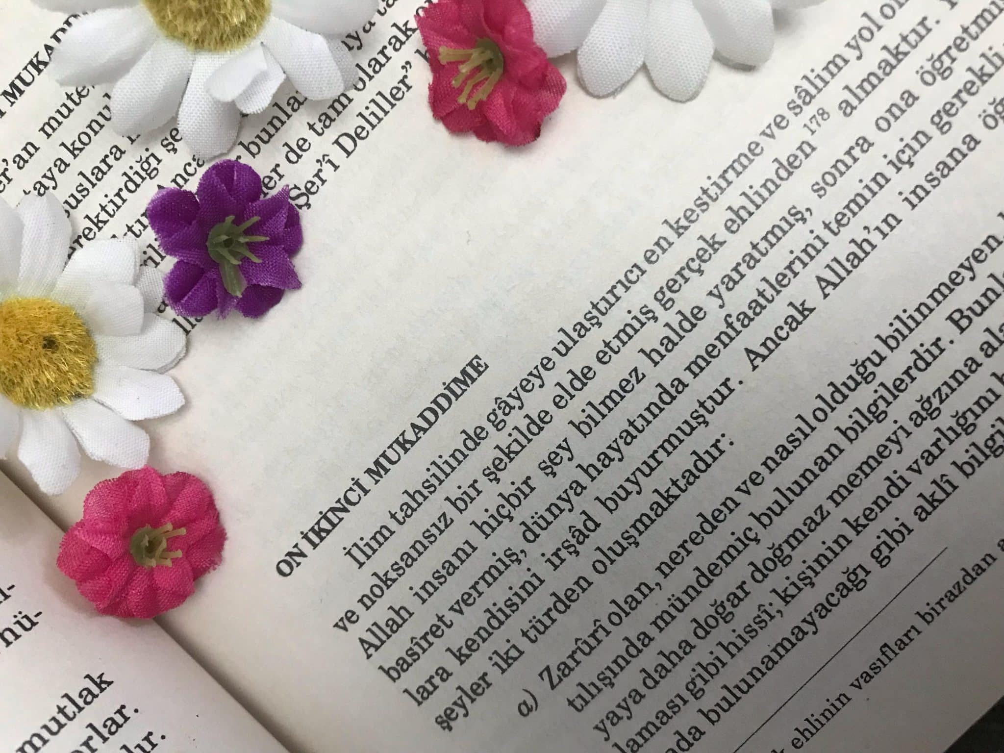 Şâtıbî Muvâfakât: On İkinci Mukaddime (Öncül):