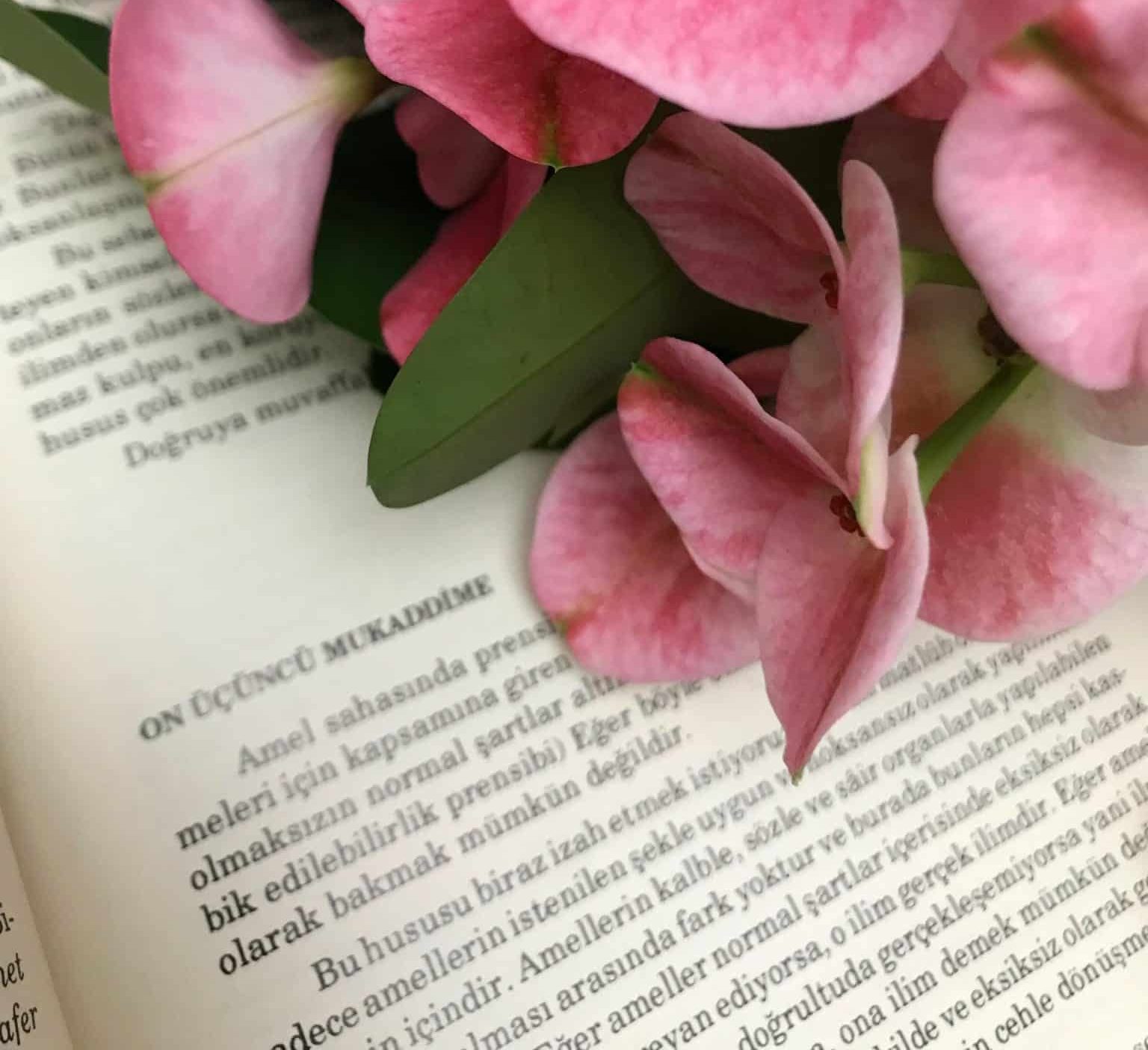 Şâtıbî Muvâfakât : On Üçüncü Mukaddime(Öncül)