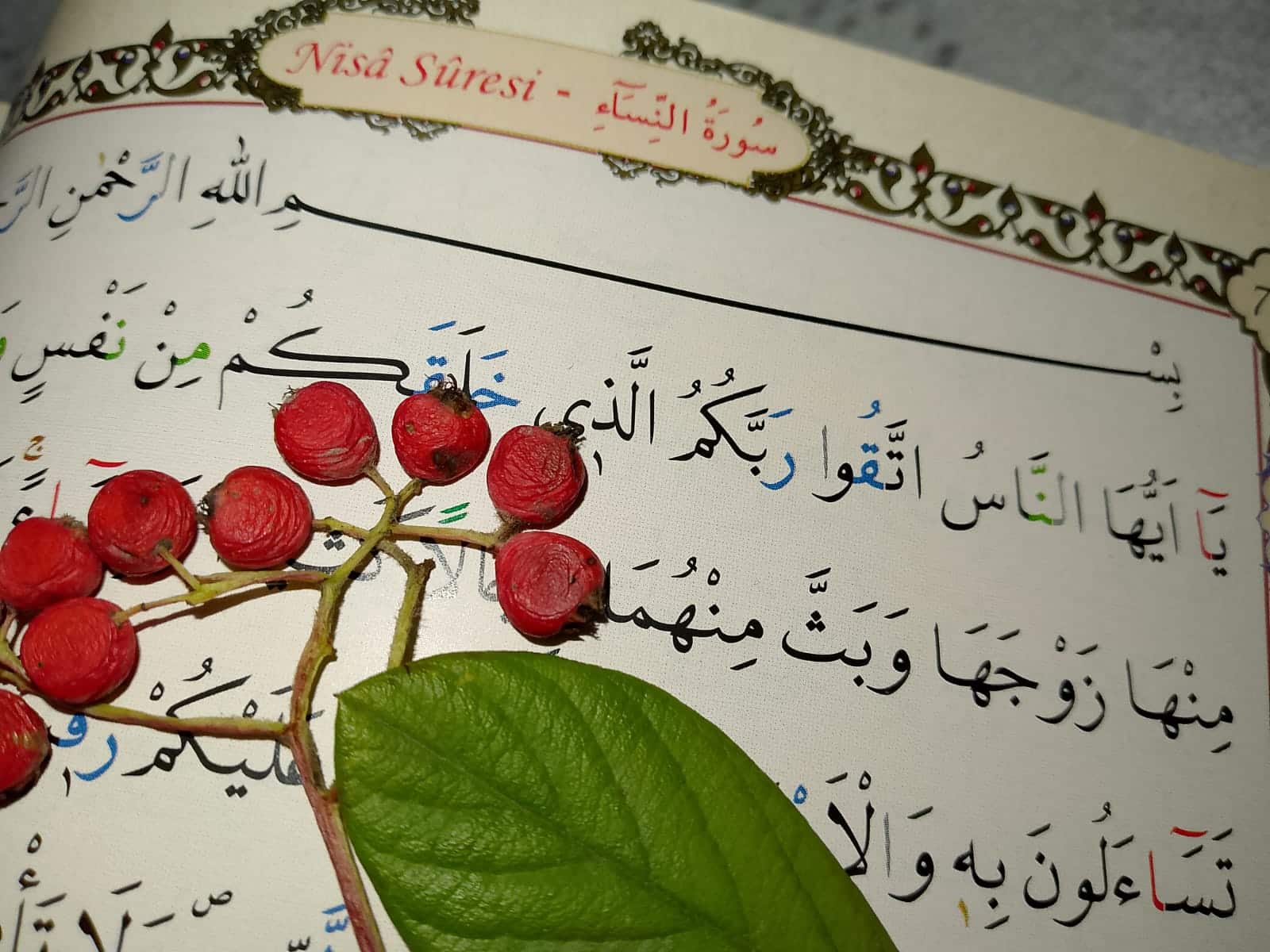 Ahmet Cevdet Paşa’nın Kur’an Tercümesi: 4-Nisa Suresi