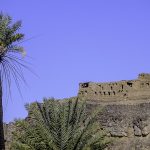 NESLİN KORUNMASI VE ZİNA