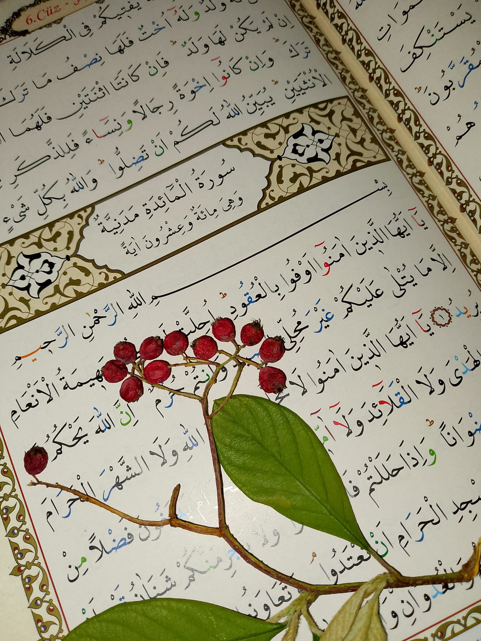 Ahmet Cevdet Paşa’nın Kur’an Tercümesi: 5-Maide Suresi