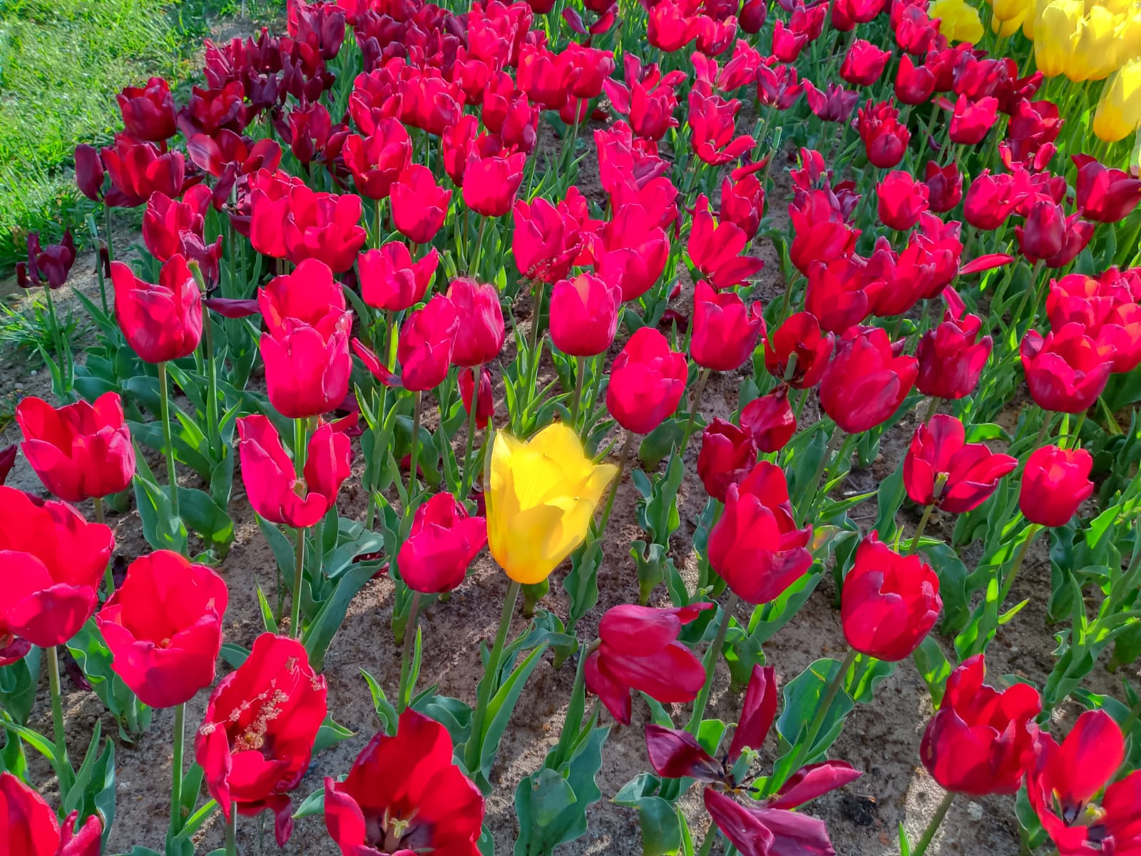 Farkı Fark Etmek: Hayatı Doğru Okumak (3)