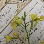 Farkı Fark Etmek: Hayatı Doğru Okumak (3)