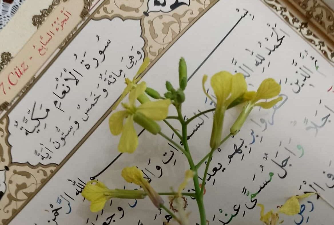 Ahmet Cevdet Paşa Meali: 6 En’am Suresi