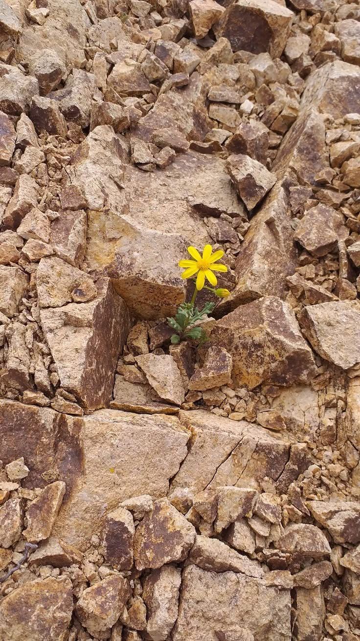 Farkı Fark Etmek: Tebliğ konusunda bazı mülahazalar