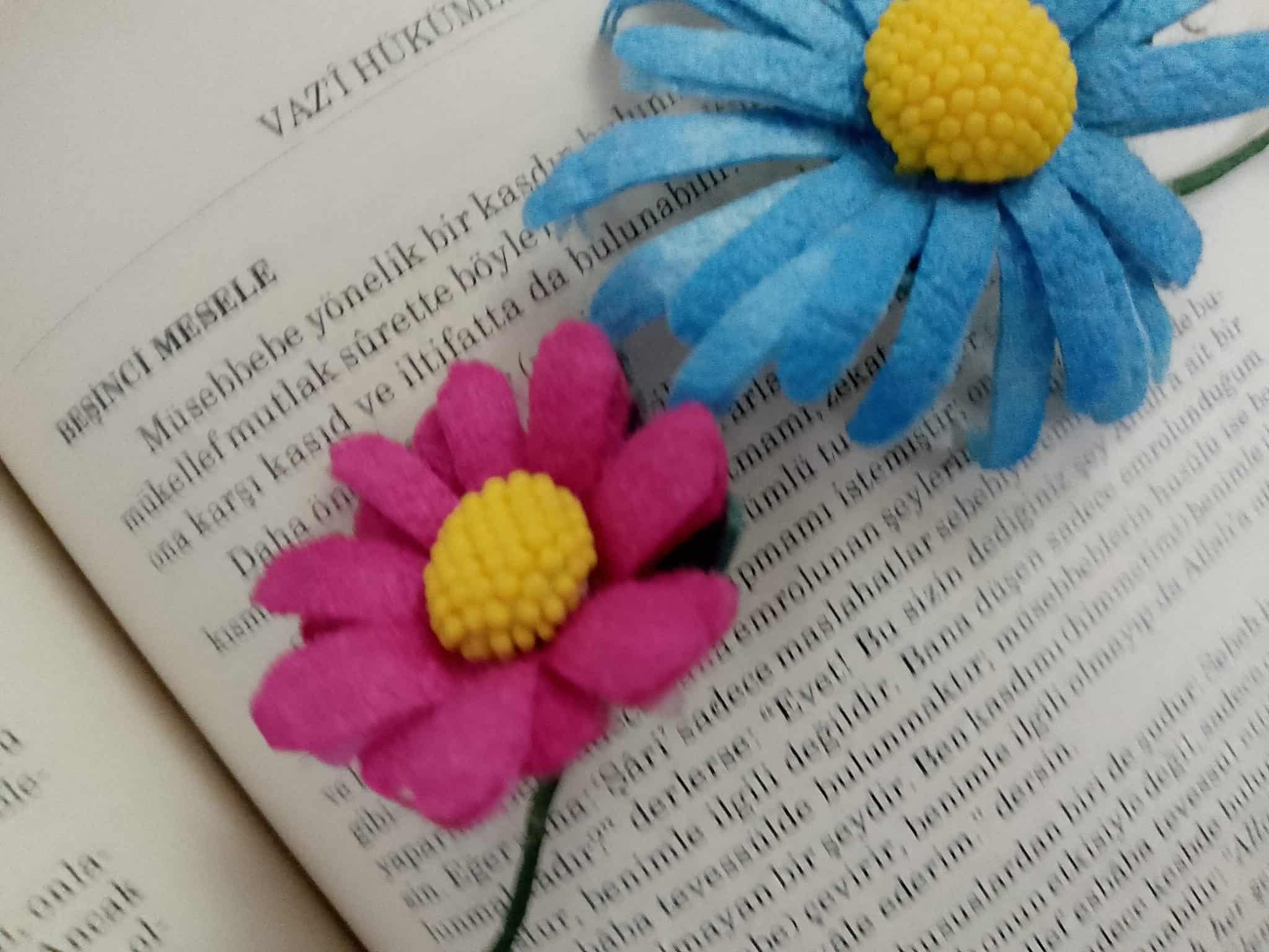 Muvâfakât Okumaları: “Teklifi Hükümler – MÜBAH – 5. Mesele” 