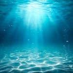 Seyyid Kutub’un Tevhid Eksenli Mücadelesi