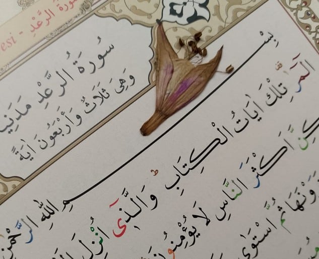 Ahmet Cevdet Paşa’nın Kur’an Tercümesi: 13- Rad Suresi