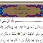 Yazışmalardan Notlar: Derrida’nın İğfali & Benlik Davası & ABD ‘de “Üç Kelime” ve “Kazık”
