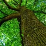 Fi Zılâl’den Hatırlamalar: Sünnetullah