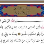 “Rabia” öldü, “Mursi”’nin kanı içildi!