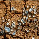 Uygun Devlet/Kurumsal Zemin Olmadan İslamî Bankacılık