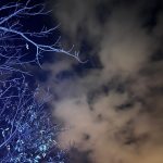 Gerçek Hayat ve Müslümanlığın Hali – 2