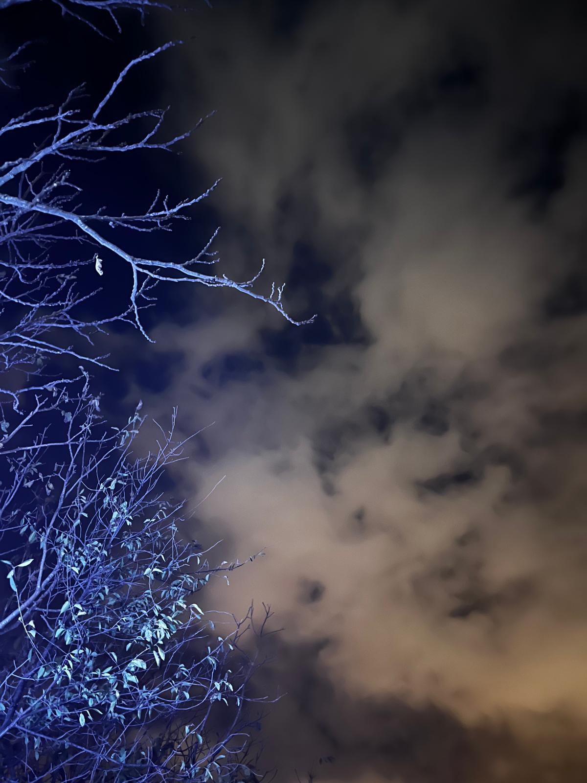 Gerçek Hayat ve Müslümanlığın Hali -1