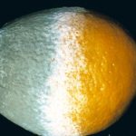 Ahmet Cevdet Paşa’nın Kur’an Tercümesi: 25 – Furkan Suresi