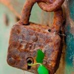 Mustafa Sabri, Türkçe Tefsir Yazma Meselesi – 2