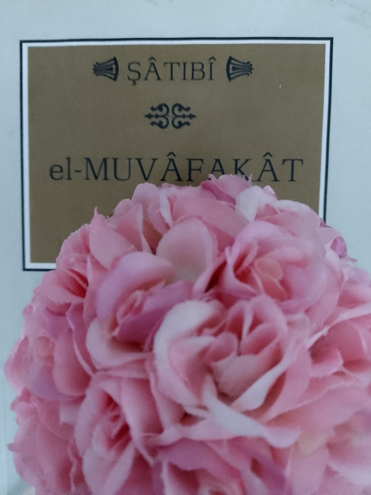 Muvâfakât Okumaları: Hükümlerin Birinci Nevi: Sebep – 12. Mesele