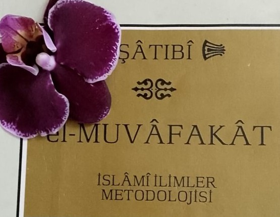 Muvâfakât Okumaları: Vaz’i Hükümlerin Üçüncü Türü: Engel (Mani) 3. Mesele