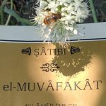 Bekle Beni  –  Zülfü Livaneli
