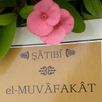 Siyasal Zihniyetin Anatomisi: Mülk, İktidar ve Kurumsal Akıl